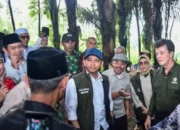 Swasembada Energi: Prabowo Target Tanam 300 Ribu Hektar Pohon Aren