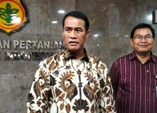 Mentan Pastikan Stok Beras Aman Hingga 2025: Impor Terhenti?
