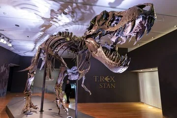 Image from detik.com