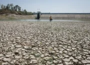 Ancaman Mengerikan: El Nino ‘Godzilla’ 2026 Mengintai, Kekeringan Ekstrem Hantui RI!