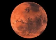 Rahasia Evolusi! 4 Perubahan Tubuh Ekstrem Manusia Saat Hidup di Planet Merah