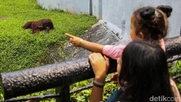 Image from detik.com