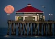 Bulan Pink Muncul Awal April 2026: Terungkap Fakta Mengejutkan di Baliknya!
