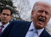 Geger! Trump Ciut Nyali Setelah Gertak Iran, Rahasia ‘Taco Tuesday’ Guncang Dunia Maya!