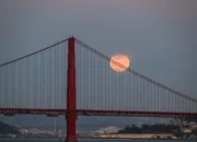 Langit April 2026: Pink Moon Memukau & Pesta Hujan Meteor Lyrid Menanti!