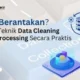 Buka Potensi Data Anda! Raih Akurasi Analisis dengan Data Cleaning & Pre-Processing