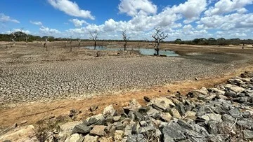 Image from detik.com